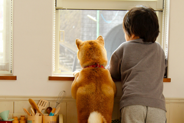 子どもとペットを災害から守るために親ができること【ペット防災の第一人者・平井潤子さんインタビュー】