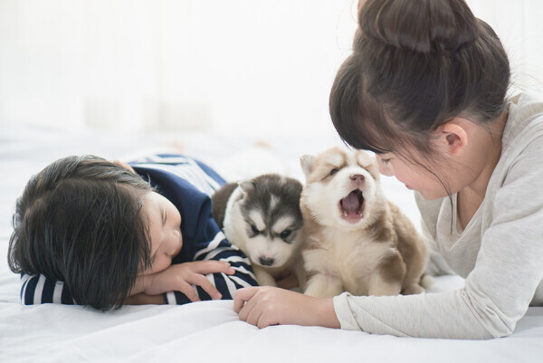 子どもとペットを災害から守るために親ができること【ペット防災の第一人者・平井潤子さんインタビュー】