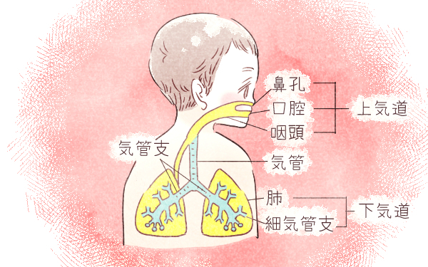 2歳までにほぼ100％が感染！　侮ってはいけない「RSウイルス感染症」【ママが知るべき「子どもの感染症」傾向と対策 第8回】