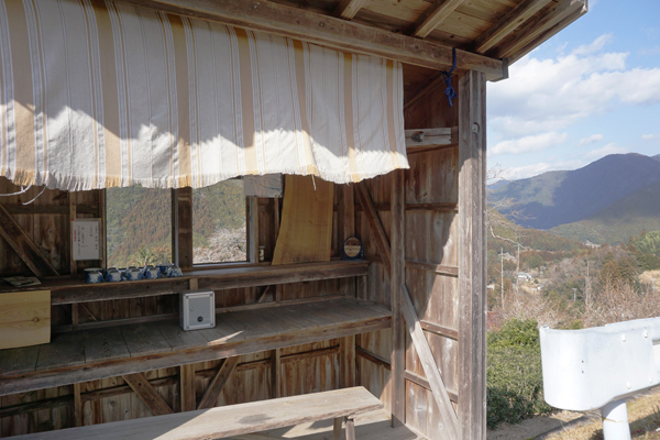 赤ちゃんパンダに世界遺産！ 自然と触れあえる和歌山・子連れ旅行