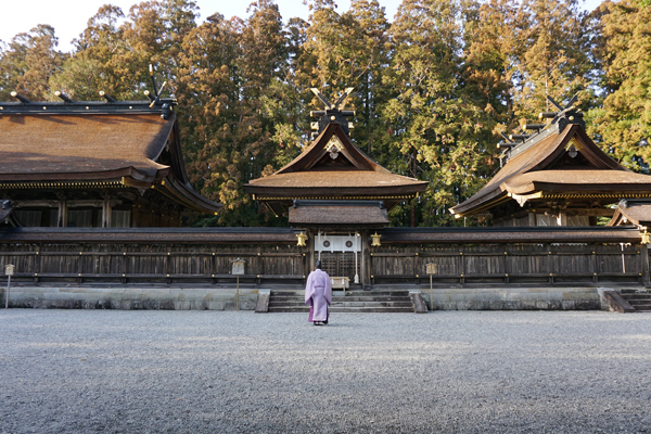 赤ちゃんパンダに世界遺産！ 自然と触れあえる和歌山・子連れ旅行