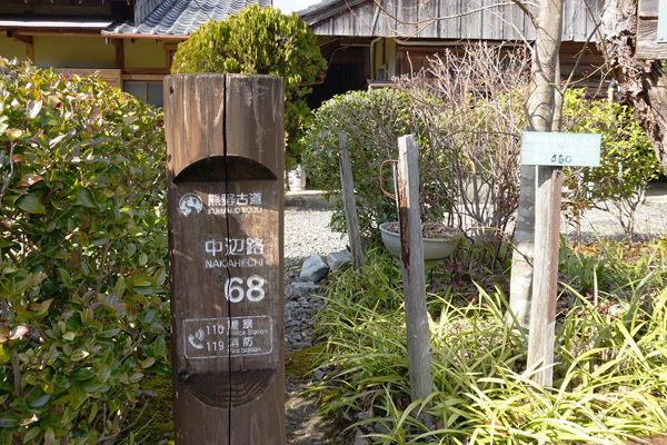 赤ちゃんパンダに世界遺産！ 自然と触れあえる和歌山・子連れ旅行