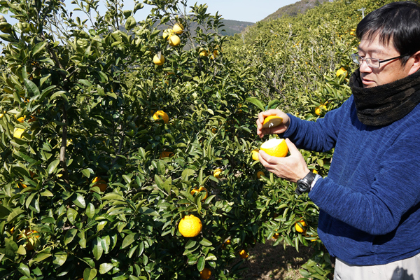 赤ちゃんパンダに世界遺産！ 自然と触れあえる和歌山・子連れ旅行