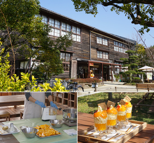 赤ちゃんパンダに世界遺産！ 自然と触れあえる和歌山・子連れ旅行