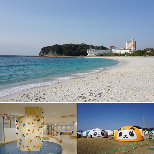 赤ちゃんパンダに世界遺産！ 自然と触れあえる和歌山・子連れ旅行