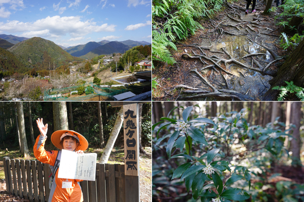 赤ちゃんパンダに世界遺産！ 自然と触れあえる和歌山・子連れ旅行