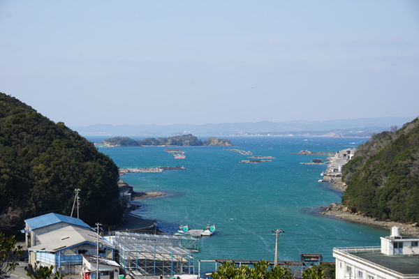 赤ちゃんパンダに世界遺産！ 自然と触れあえる和歌山・子連れ旅行