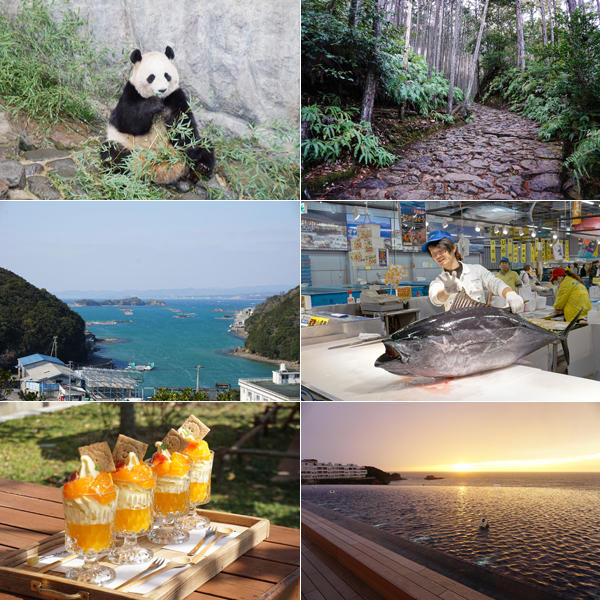 赤ちゃんパンダに世界遺産！ 自然と触れあえる和歌山・子連れ旅行