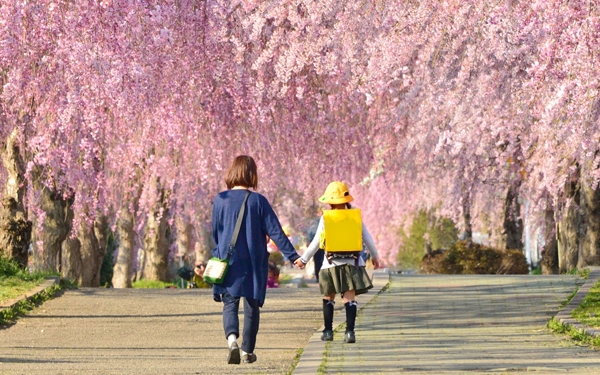 子どもの登下校、見守り活動に黄信号!? 「登下校時における安全確保」実態【パパママの本音調査】  Vol.329