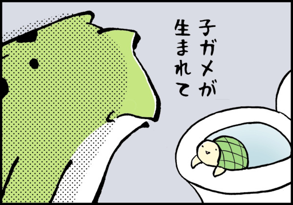 あれは妊娠のお告げ？ 妊活中に見た不思議な夢の話【カエル母さんと3人のこども 第7話】