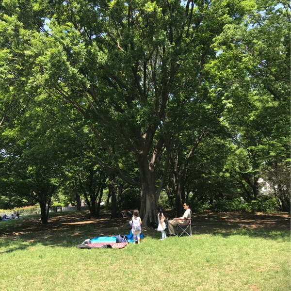 GWおでかけアウトドア「近場、都心がおすすめ」子連れキャンプ＆ピクニック5選