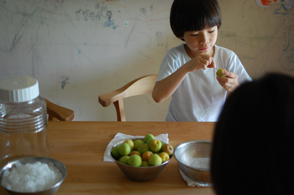 梅シロップ＆梅酒作りは子どもと一緒に！ 我が家の梅しごと記録＆レシピ