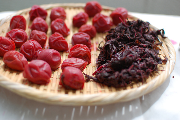 梅シロップ＆梅酒作りは子どもと一緒に！ 我が家の梅しごと記録＆レシピ