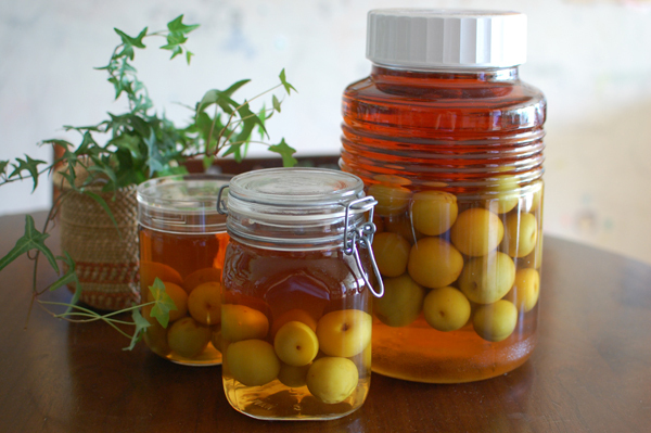 梅シロップ＆梅酒作りは子どもと一緒に！ 我が家の梅しごと記録＆レシピ