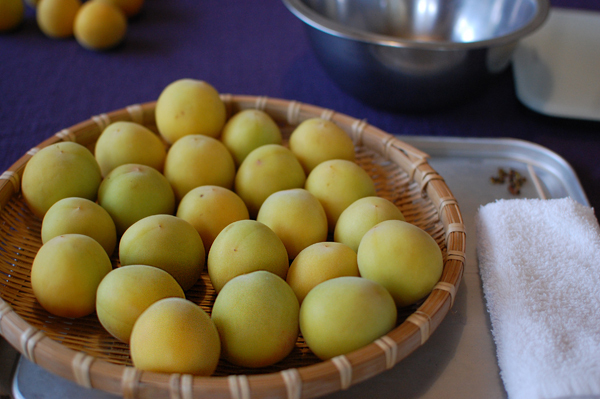 梅シロップ＆梅酒作りは子どもと一緒に！ 我が家の梅しごと記録＆レシピ