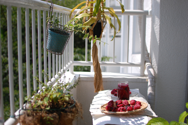 梅シロップ＆梅酒作りは子どもと一緒に！ 我が家の梅しごと記録＆レシピ