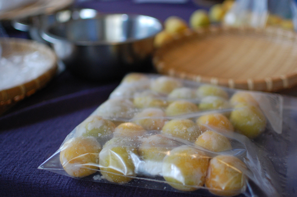 梅シロップ＆梅酒作りは子どもと一緒に！ 我が家の梅しごと記録＆レシピ