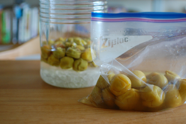 梅シロップ＆梅酒作りは子どもと一緒に！ 我が家の梅しごと記録＆レシピ