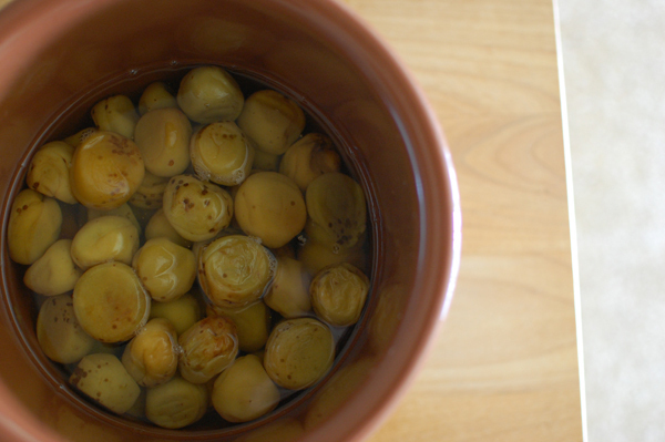 梅シロップ＆梅酒作りは子どもと一緒に！ 我が家の梅しごと記録＆レシピ