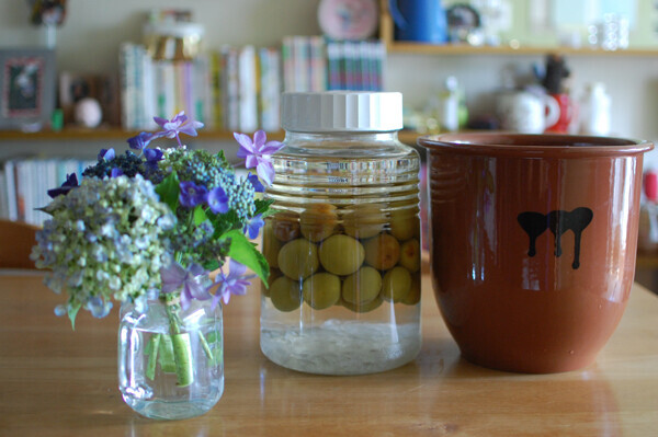 梅シロップ＆梅酒作りは子どもと一緒に！ 我が家の梅しごと記録＆レシピ