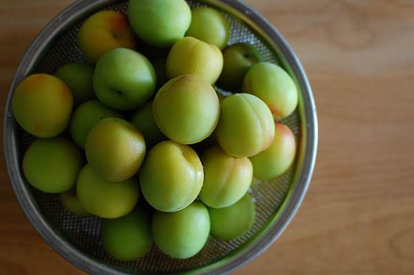 梅シロップ＆梅酒作りは子どもと一緒に！ 我が家の梅しごと記録＆レシピ