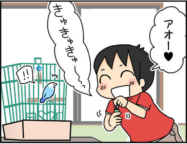鳥と会話ができるバードコール！ わが家のセキセイインコで試してみたところ…!?【4人の子ども育ててます 第49話】