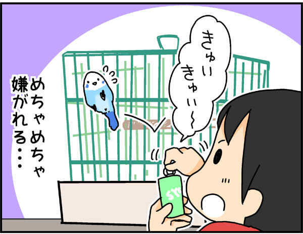 鳥と会話ができるバードコール！ わが家のセキセイインコで試してみたところ…!?【4人の子ども育ててます 第49話】