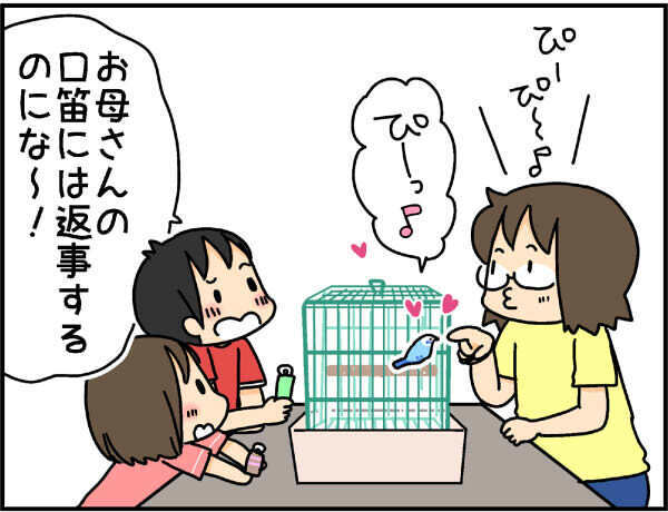 鳥と会話ができるバードコール！ わが家のセキセイインコで試してみたところ…!?【4人の子ども育ててます 第49話】