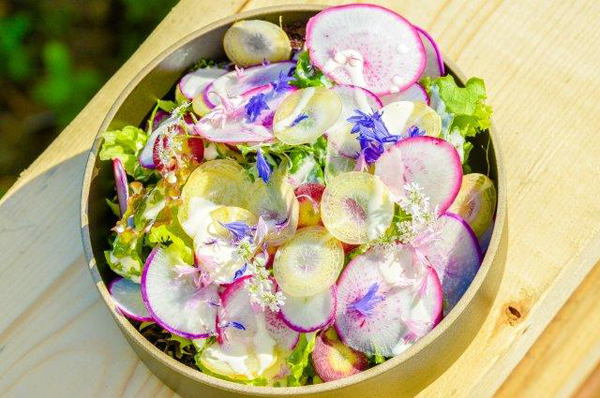 親子で手ぶらBBQ！ レジャー充実のアウトドアスポット5選