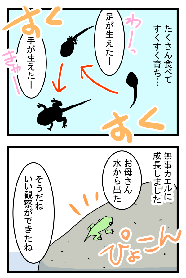 【新連載】大人も子どもも学びが多い自然とのふれあい！　今回はおたまじゃくしを飼ってみた【こどもと見つけた小さな発見日誌 Vol.1】