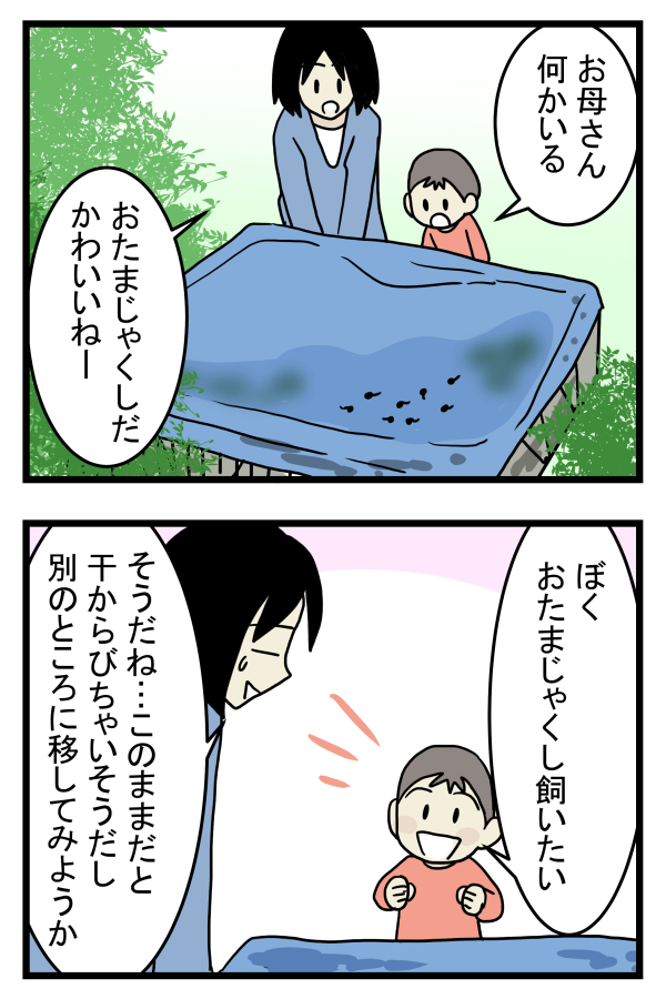 【新連載】大人も子どもも学びが多い自然とのふれあい！　今回はおたまじゃくしを飼ってみた【こどもと見つけた小さな発見日誌 Vol.1】