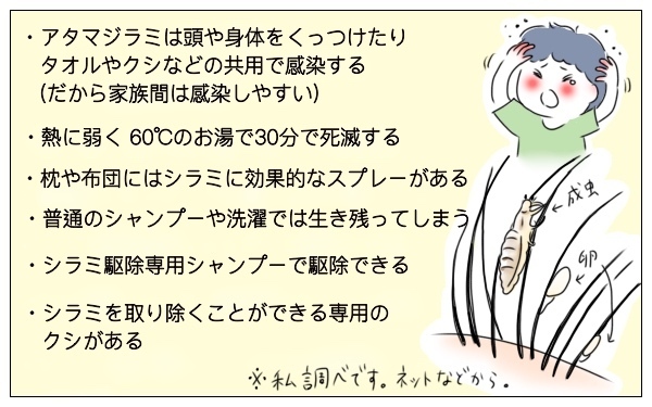 洗髪してるのに子どもにシラミ！ ショックのなか、気づいた大切なこと【泣いて！ 笑って！ グラハムコソダテ  Vol.31】