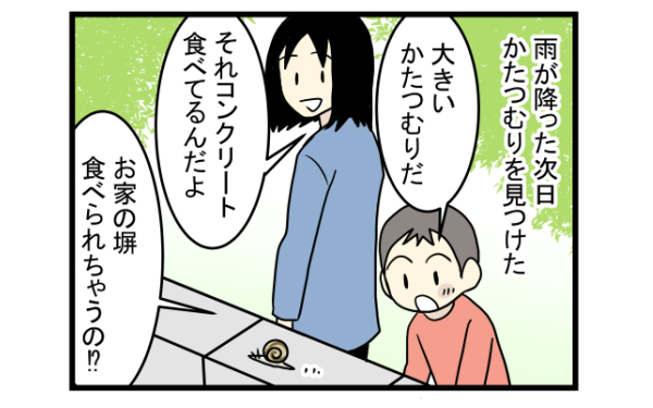 ゆっくり癒し系の魅了に大人も子どももくぎ付け！　かたつむりを飼ってみた【こどもと見つけた小さな発見日誌 Vol.2】