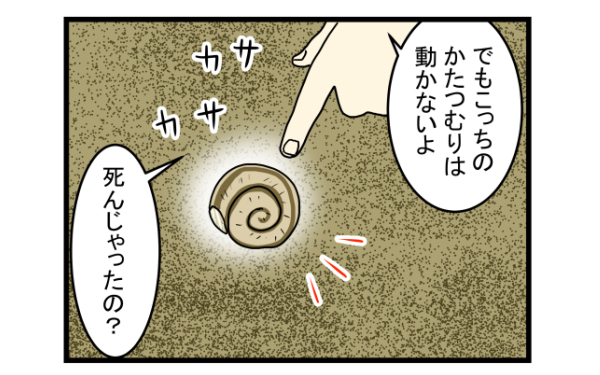 ゆっくり癒し系の魅了に大人も子どももくぎ付け！　かたつむりを飼ってみた【こどもと見つけた小さな発見日誌 Vol.2】