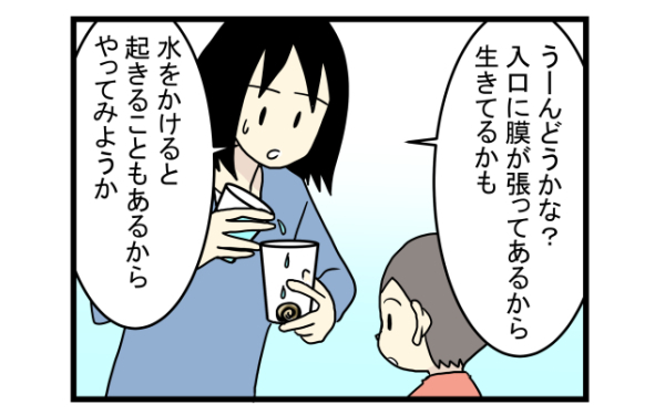 ゆっくり癒し系の魅了に大人も子どももくぎ付け！　かたつむりを飼ってみた【こどもと見つけた小さな発見日誌 Vol.2】