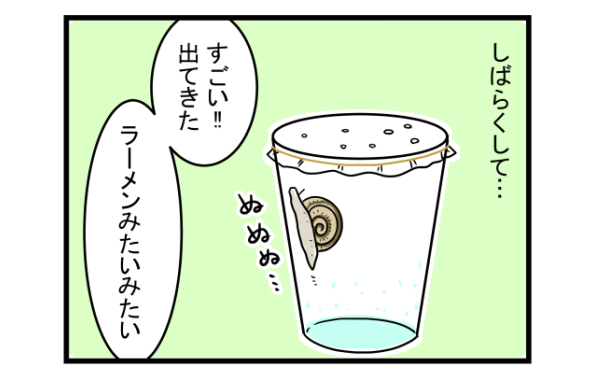 ゆっくり癒し系の魅了に大人も子どももくぎ付け！　かたつむりを飼ってみた【こどもと見つけた小さな発見日誌 Vol.2】