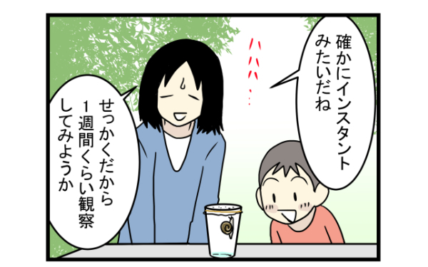 ゆっくり癒し系の魅了に大人も子どももくぎ付け！　かたつむりを飼ってみた【こどもと見つけた小さな発見日誌 Vol.2】