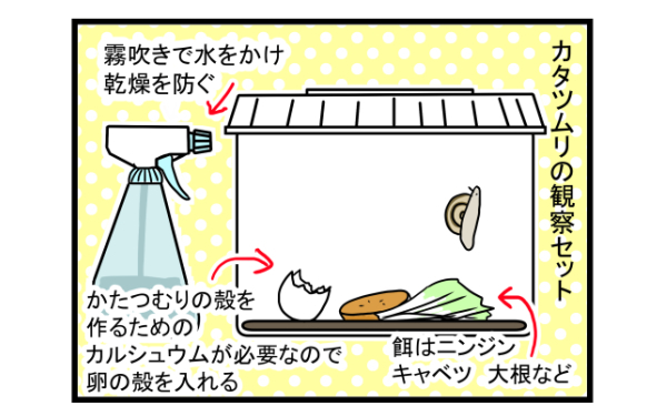 ゆっくり癒し系の魅了に大人も子どももくぎ付け！　かたつむりを飼ってみた【こどもと見つけた小さな発見日誌 Vol.2】