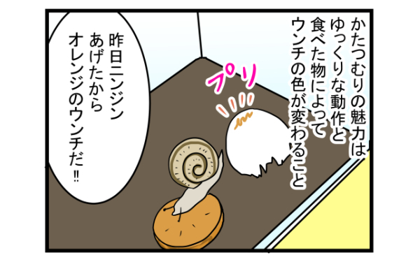 ゆっくり癒し系の魅了に大人も子どももくぎ付け！　かたつむりを飼ってみた【こどもと見つけた小さな発見日誌 Vol.2】