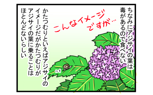 ゆっくり癒し系の魅了に大人も子どももくぎ付け！　かたつむりを飼ってみた【こどもと見つけた小さな発見日誌 Vol.2】