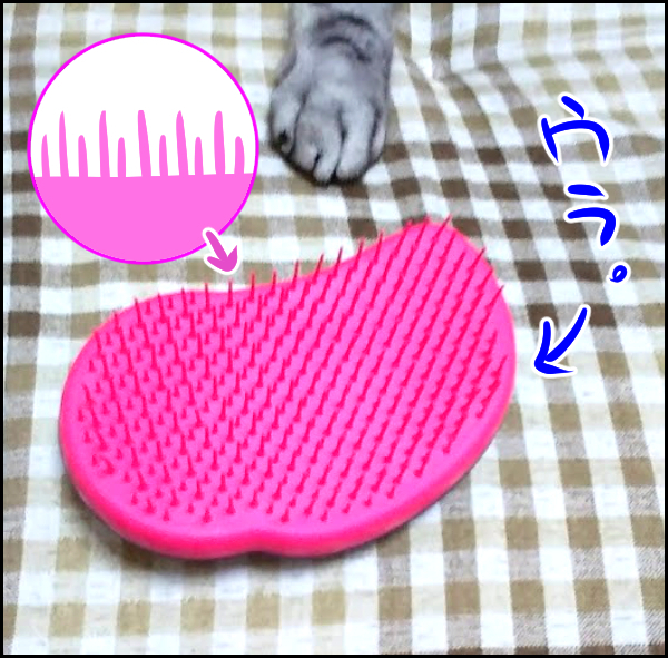 娘の爆発ヘアーもスルンとツヤツヤに！  タングルティーザー最高！【ウォンバット母さん育児中  第24話】