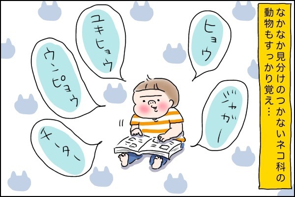 自発的な学びは興味の先に…！ 「図鑑」好きな兄弟に起こった嬉しい変化とは【桃金兄弟の育児日記 Vol.2】