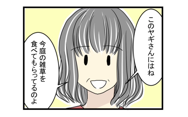 子ども達が大喜びと思ったけど…ヤギを飼うまでのハードルは高かった…【こどもと見つけた小さな発見日誌 Vol.3】