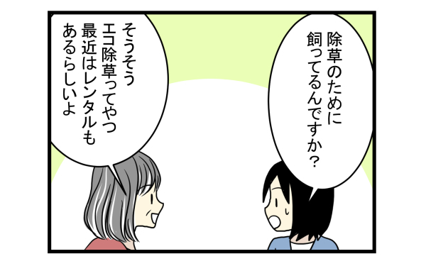子ども達が大喜びと思ったけど…ヤギを飼うまでのハードルは高かった…【こどもと見つけた小さな発見日誌 Vol.3】