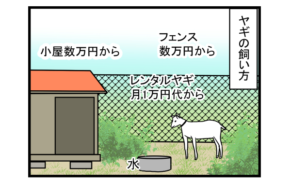 子ども達が大喜びと思ったけど…ヤギを飼うまでのハードルは高かった…【こどもと見つけた小さな発見日誌 Vol.3】