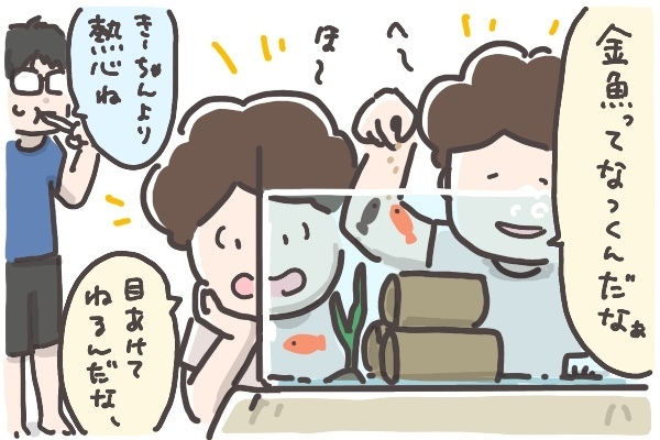 金魚をすくったはいいけれど…NGだらけの飼育スタート！【そんたんママときーちゃんの「はじめてづくし」 第9話】