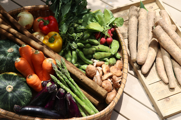 世代を超えてつながり、集える場所「景丘の家」ってどんなところ？