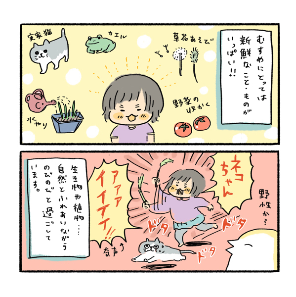 秋田の大自然でパワフルになった娘の遊びと「寒天で固めてしまう」謎の文化について【ふるえるとりの育児日記 第16話】