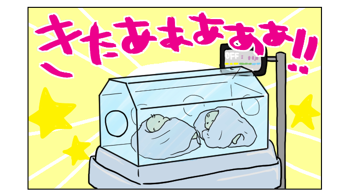 わが家のふたごが生まれた時の様子とは！？　4人の子育てママの連載はじまります【四方向へ散らないで Vol.1】