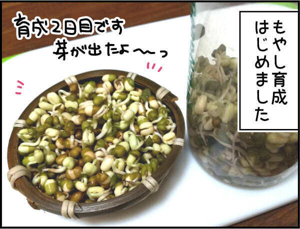 夏休みの自由研究！ 間に合わないと焦ったらおすすめはコレ！【4人の子ども育ててます 第59話】